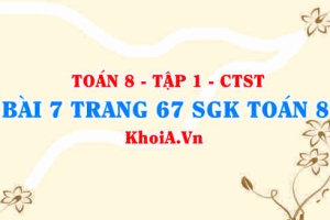 Bài 7 trang 67 SGK Toán 8 Tập 1 Chân trời sáng tạo